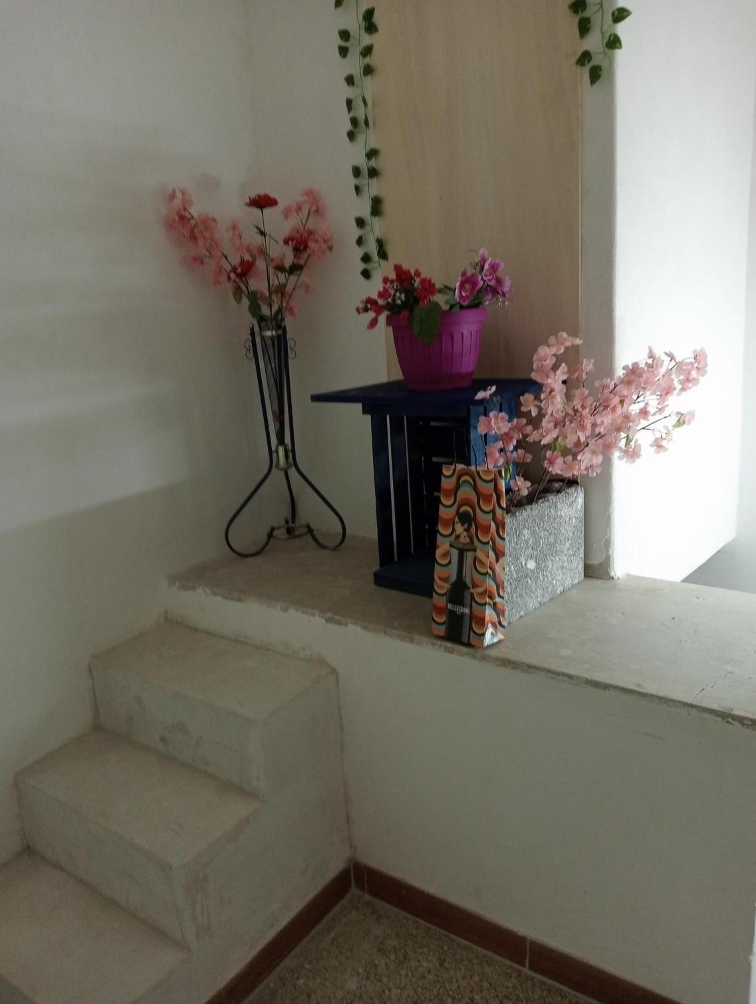 Villa Zia Ciccia à Marsala Extérieur photo